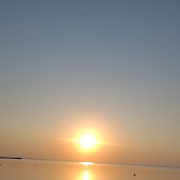 �����, �����������, 48 ���