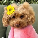 ���� ����, ��������� - ��������� 14 ������ 2025 � ������ ������ ��������