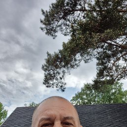 , 53, 