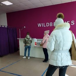 �����������