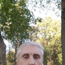 , 57, 