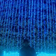 ������, 35 ���, ������