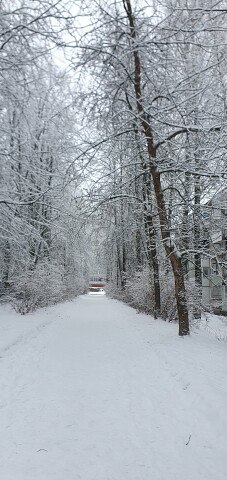 ���� �����, ��������, 65 ��� - ��������� 27 ������� 2023