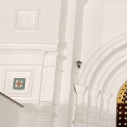 ������, 42 ����, ������