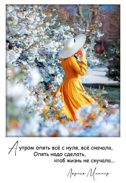 �������� ������ - 17 ��� 2026 � 08:02