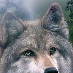 �������., ���������� ������, 43 ����