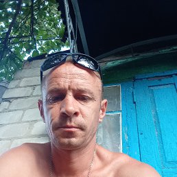 , 41, 