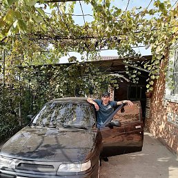 ����, ����, 37 ���