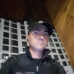 �����, �����-���������, 37 ���