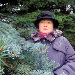 ����- �� �������� � ��������!!!, �����