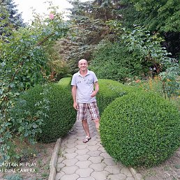 ����, �������, 58 ���