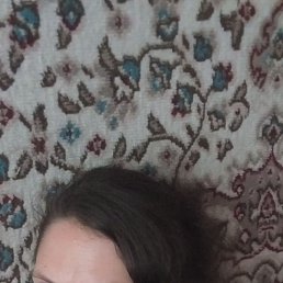 , 38, 