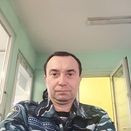 , 53 , 