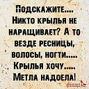 ���� V, �����������, 47 ��� - ��������� 11 ������ 2024 � ������ ������ ��������