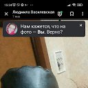 ���� ����, �����, 56 ��� - ��������� 8 ������� 2024