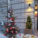 ���� �������, ������������, 40 ��� - ��������� 6 ������ 2025 � ������ ���� ����������