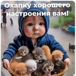 ���� �����, ���������, 48 ��� - ��������� 20 �������� 2024