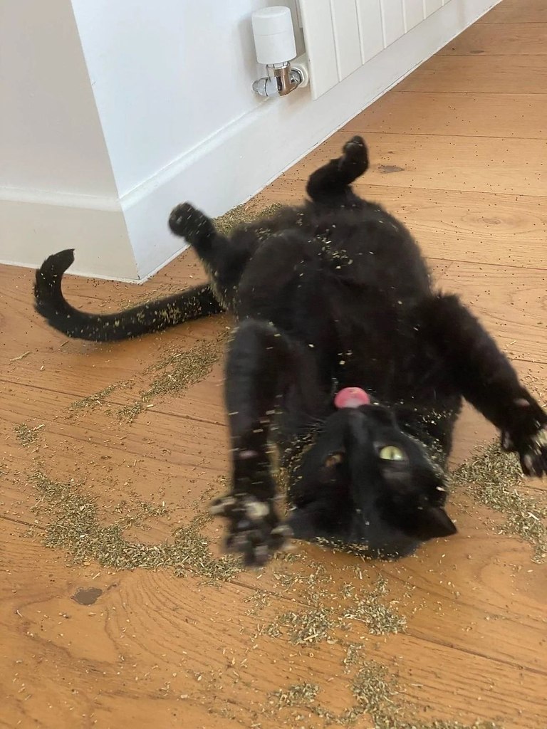 Друзья: ведут себя нормально.Я: - 6