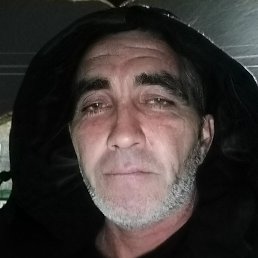 �����, �����������, 41 ���