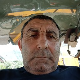 , 58, 