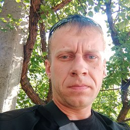 , 31, 
