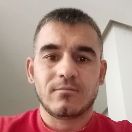 �����������, ������, 38 ���