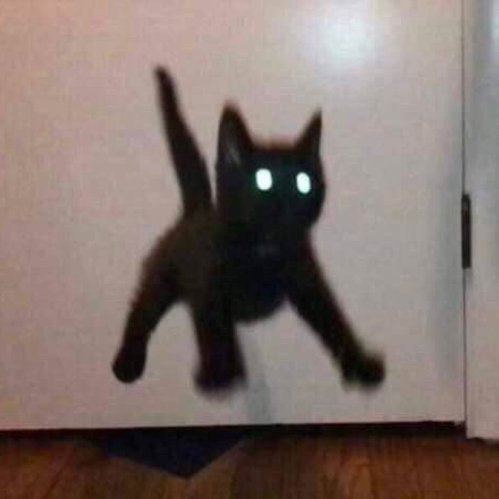       ,      - 4