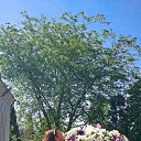 ���� �����, �����������, 47 ��� - ��������� 24 ���� 2025 � ������ ���� ����������