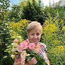 ���� ������, ����, 68 ��� - ��������� 6 ������� 2024 � ������ ���� ����������