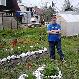 ����, �����-���������