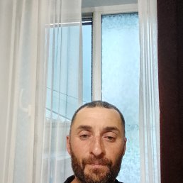 , 41, 