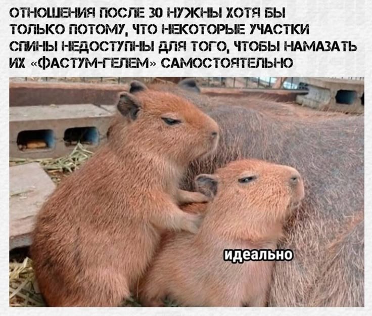  - 30  2025  17:37 - 2