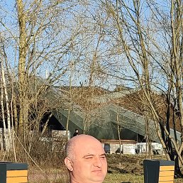 , 41 , -