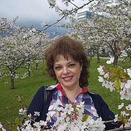 ��������, �������, 59 ���