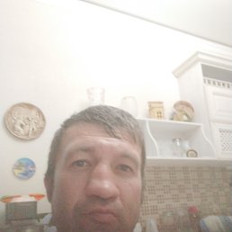 ������, 37 ���, ����������