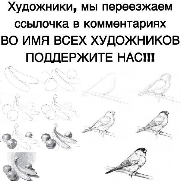   - 5  2025  17:50