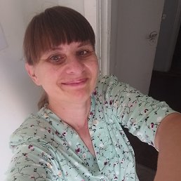 ���� �������, ������������, 49 ��� - ��������� 14 ������� 2026