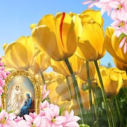 ��������, 53 ����, �����