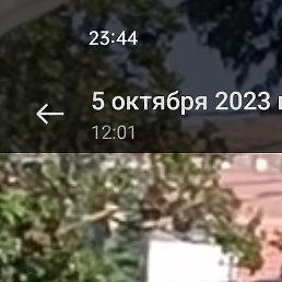 ����, ������, 43 ����