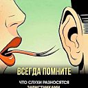 ���� ��������, �������, 66 ��� - ��������� 22 ����� 2026 � ������ ������ ��������
