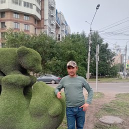 , 33 , 