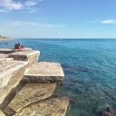 ���� �����, ���������, 43 ���� - ��������� 5 ����� 2026