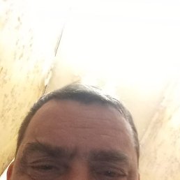 ������ ��������, ���������, 46 ���