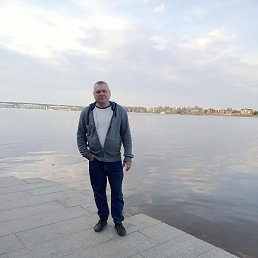 �������, �������, 46 ���