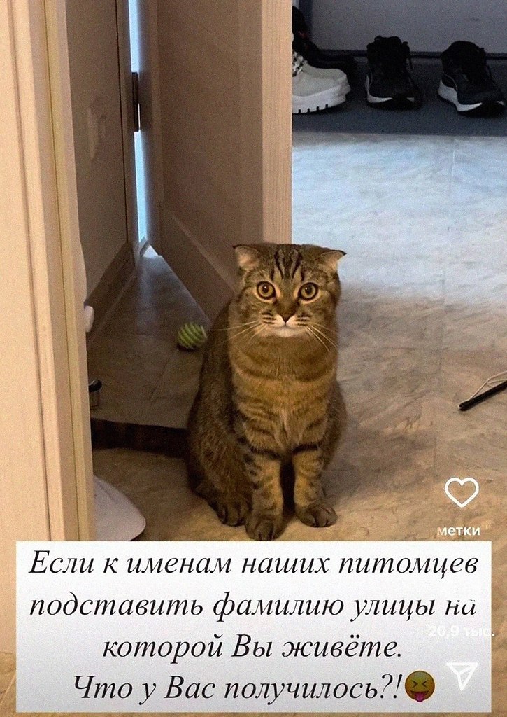 ����� ������ ��� �� �����).� ��� � ��� ���������? ������ � ��������)