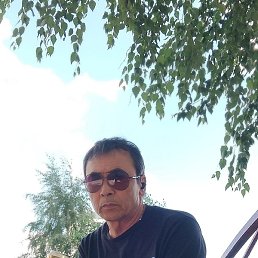 ����, �����, 65 ���