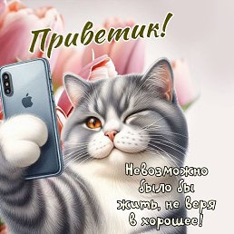 ���� ��� ����, ���, 71 ��� - ��������� 16 ���� 2025