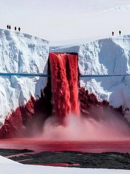 :)            .    , ...