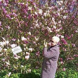 �����, �����������, 60 ���