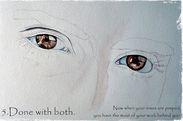 ������ ����� �������� - 4